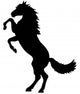 Horse Wall Decal