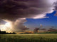 Wheat Thunder-storm Wall Decal