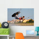 Wakeboard Wall Decal