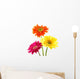 Colorful Gerber Daisies Wall Decal