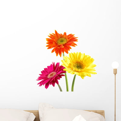 Colorful Gerber Daisies Wall Decal shown on a wall