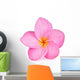Single Pink Plumeria Flower Wall Decal