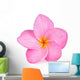 Single Pink Plumeria Flower Wall Decal