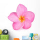 Single Pink Plumeria Flower Wall Decal