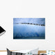 Chinastrap Penguins Lined up Wall Mural