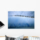 Chinastrap Penguins Lined up Wall Mural