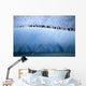 Chinastrap Penguins Lined up Wall Mural