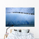 Chinastrap Penguins Lined up Wall Mural