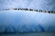 Chinastrap Penguins Lined up Wall Mural