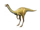 Galliminus Dinosaur Wall Decal