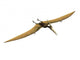 Pterus Le Pterosaur Wall Decal