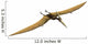 Pterus Le Pterosaur Wall Decal