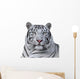 White Bengal Tiger Wall Decal