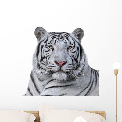 White Bengal Tiger Wall Decal shown on a wall