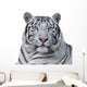 White Bengal Tiger Wall Decal
