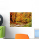 Autumn in Forest Wall Mural