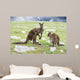 Kangaroos Mother Father and Wall Decal