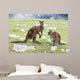 Kangaroos Mother Father and Wall Decal