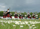 Scottish Pipe Band Marching Wall Decal