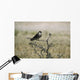 Juvenile Hobby Perches Branch Wall Mural