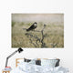 Juvenile Hobby Perches Branch Wall Mural