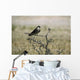 Juvenile Hobby Perches Branch Wall Mural