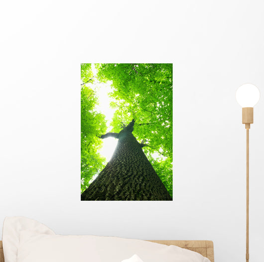 Green Leaves Wall Decal