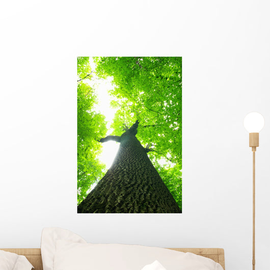 Green Leaves Wall Decal