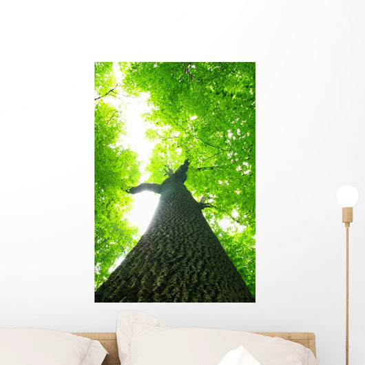 Green Leaves Wall Decal