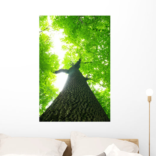 Green Leaves Wall Decal