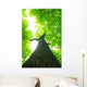 Green Leaves Wall Decal