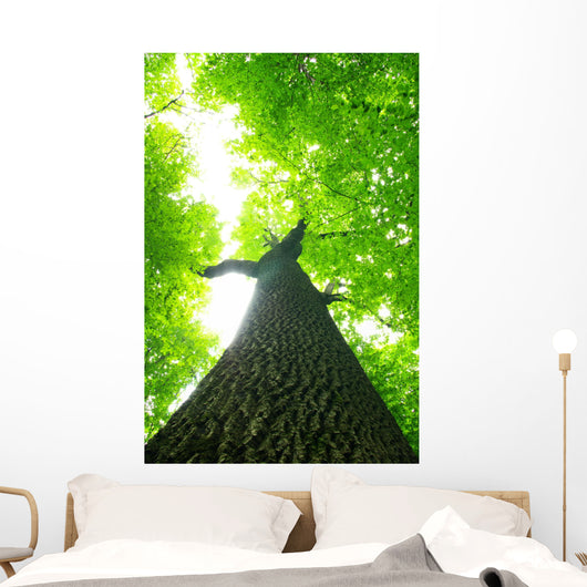 Green Leaves Wall Decal