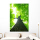 Green Leaves Wall Decal