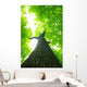 Green Leaves Wall Decal
