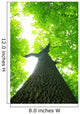 Green Leaves Wall Decal