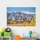 Downtown Salt Lake City Wall Decal