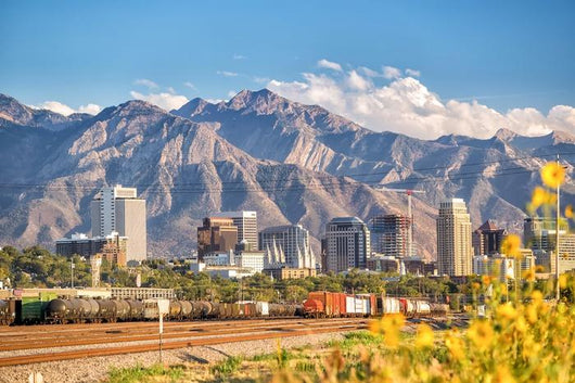 Downtown Salt Lake City Wall Decal