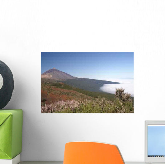 Konica Minolta Digital Camera Wall Decal