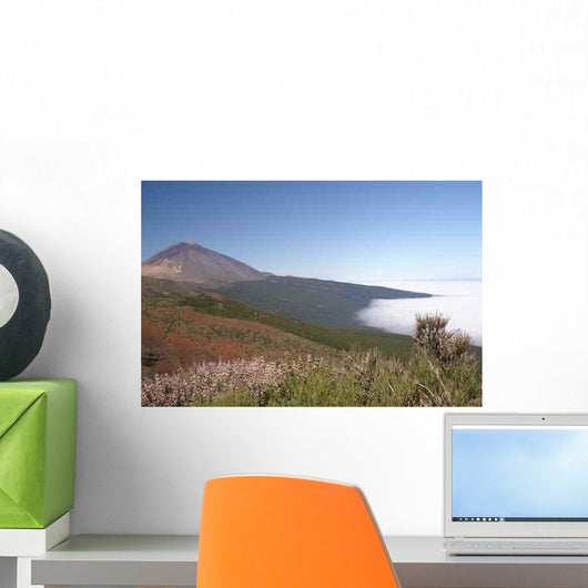 Konica Minolta Digital Camera Wall Decal