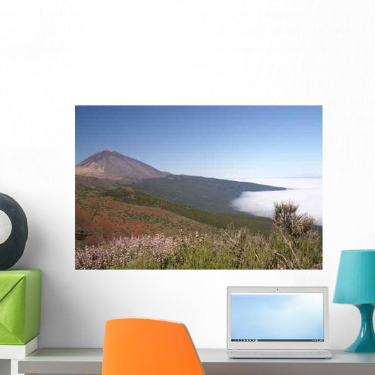 Konica Minolta Digital Camera Wall Decal