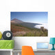 Konica Minolta Digital Camera Wall Decal