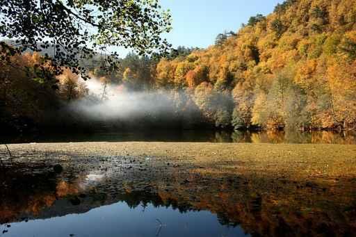 Seven Lakes Wall Decal