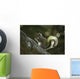 Gray Squirrel Eating Nut Wall Mural