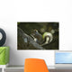 Gray Squirrel Eating Nut Wall Mural