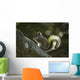 Gray Squirrel Eating Nut Wall Mural