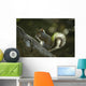 Gray Squirrel Eating Nut Wall Mural