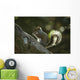 Gray Squirrel Eating Nut Wall Mural