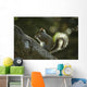 Gray Squirrel Eating Nut Wall Mural
