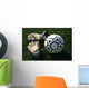 Goalie Gloves with Soccer Wall Decal