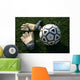 Goalie Gloves with Soccer Wall Decal